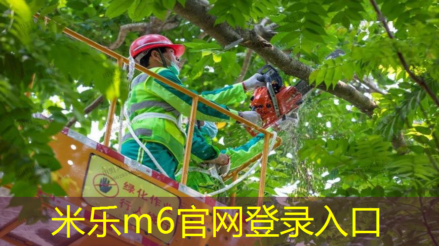米乐m6官网：网球拍的透明线叫什么