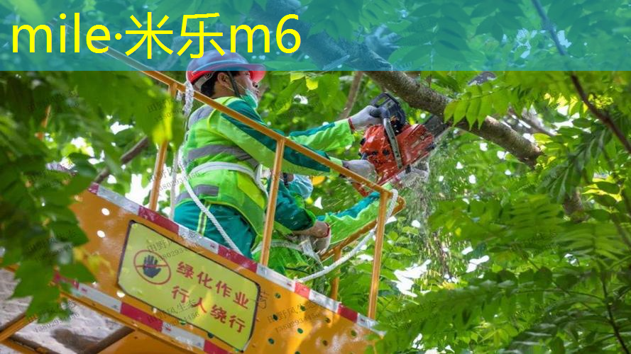 mile·米乐m6：网球拍备用拍选择哪种最好