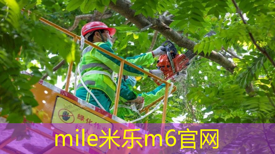 乒乓球台子有几种尺寸