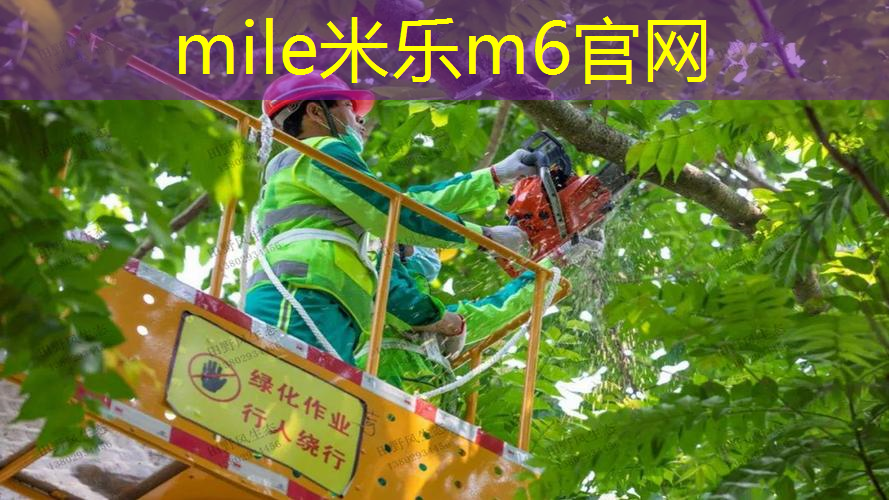 米乐：武汉室内健身操