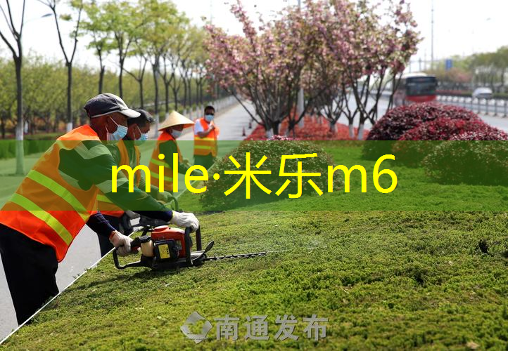 米乐m6官网登录入口：乒乓球台推荐室内用品