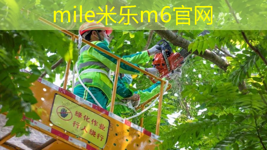 mile米乐m6官网：室内健身器材高科技