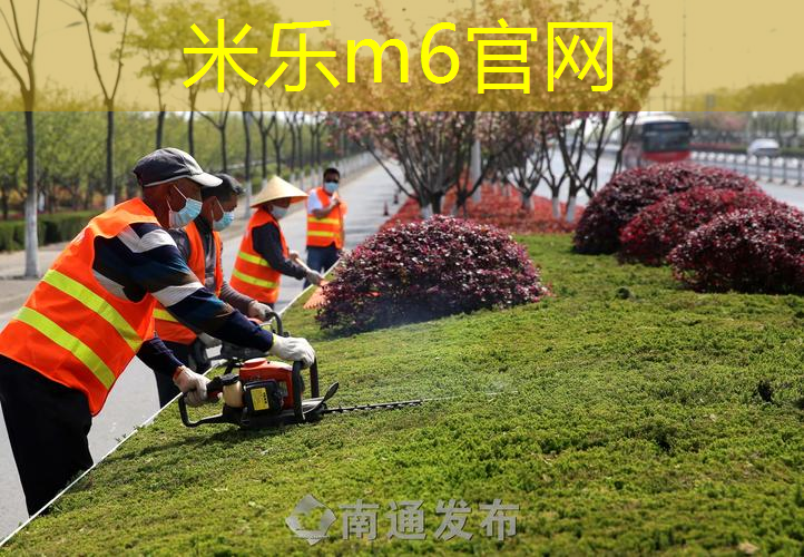 网球拍击球的力约为多少