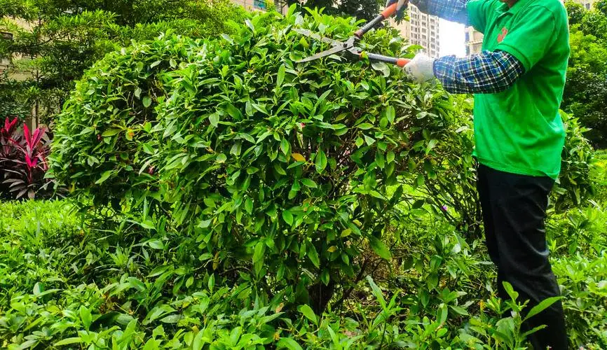 网球拍黑手胶怎么洗白色