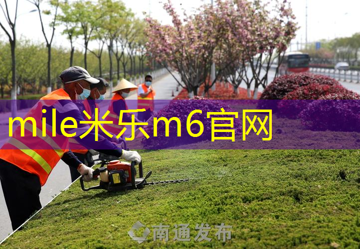 网球拍木柄和高分子柄