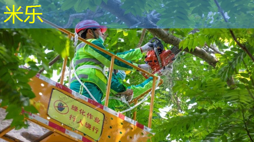网球拍单人训练器松紧绳