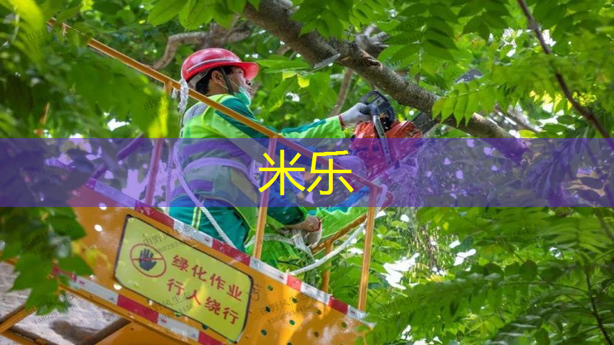乒乓球台子有几种尺寸
