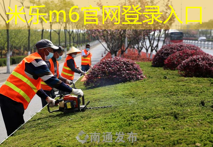 释放精力！儿童木马带滑梯户外活动增长能量