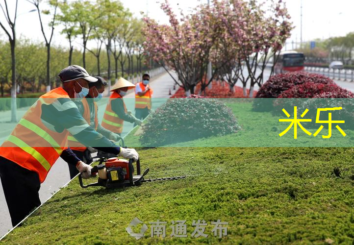 大胆尝试，收获成就！室外用吊环带给你梦想舞台