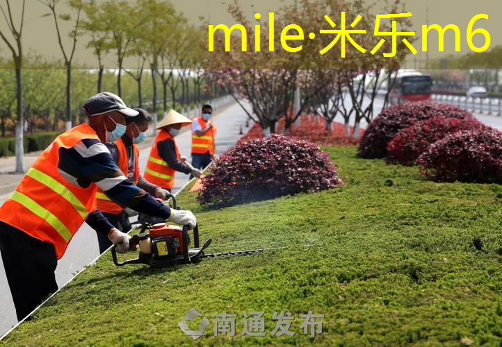 乒乓球台整体标准高度